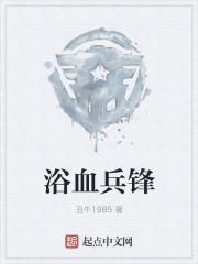浴血兵锋大结局
