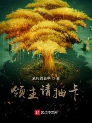 领主抽卡游戏