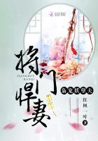 将门娇女之冷王悍妃