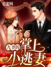 九爷的掌心小甜妻
