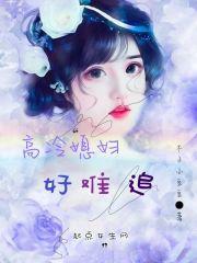 高冷老婆不好惹
