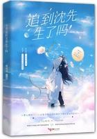 今天追到妻了吗全文免费阅读