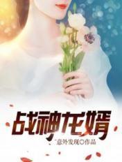 战神龙婿免费阅读