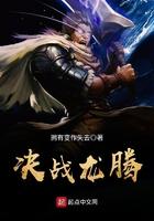 决战龙腾txt
