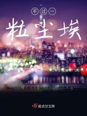 不过一粒微尘歌词翻译