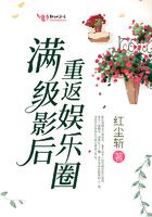 满级影后重回小可怜txt