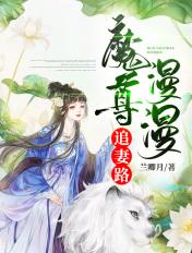魔尊追妻指南漫画