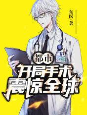 开局手术果实的