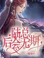 陆总会玩