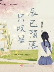 只叹星辰已陨落下一句