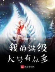 我的满级大号有点多txt