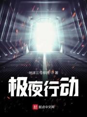 极夜行动尘白
