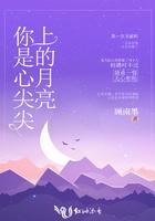 你是我心尖尖上的钻石
