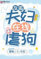 反派夫妇全集TXT资源