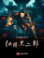 红楼史鸿