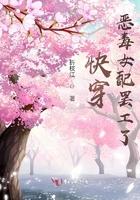 恶毒女配快穿1v1