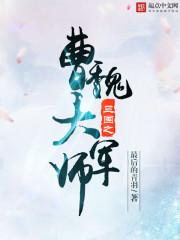 三国之大魏崛起笔趣阁曹丕