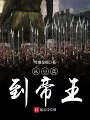从小兵到帝王萧祁