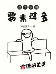 这个乐园带来了怎样的快乐