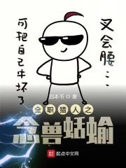 全职猎人念是什么