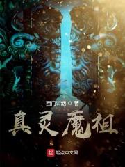 真灵九变起点中文网