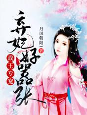 战王宠妃免费阅读