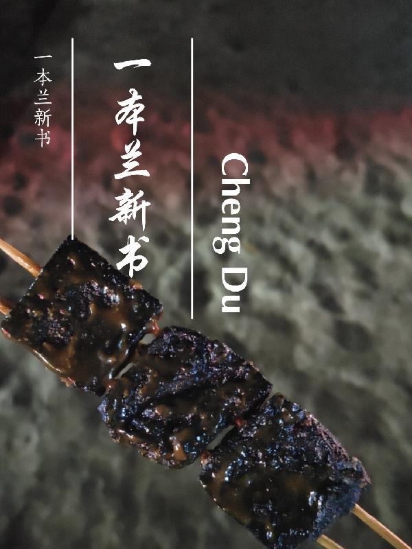 一本新的书TXT