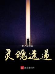 灵魂INSert全集