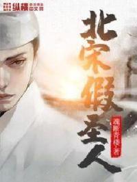 北宋假圣人完整版