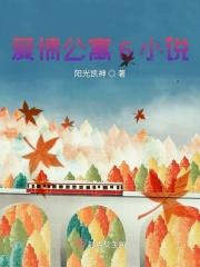 爱情公寓完整版