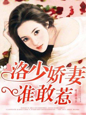 洛少前妻不好追免费阅读