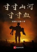 寸寸山河寸寸血 在线 免费
