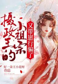 摄政王的小祖宗又来了