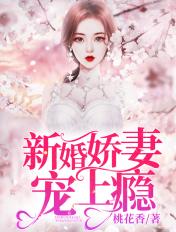 新婚宠妻上瘾+全文免费阅读