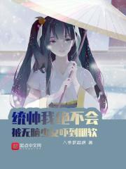 哪部主角叫统帅