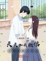 天天加我微信