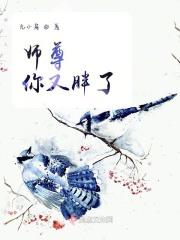 师尊又又又被抓走了免费阅读