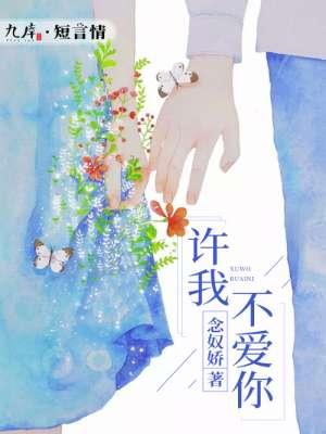 许我不再遇见你