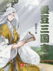 爱豆三国志TXT