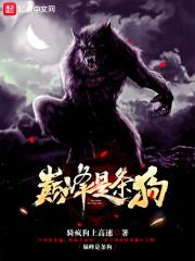 巅峰属于什么狗粮