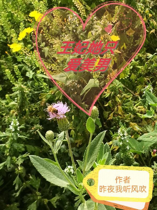 王妃她只想做咸鱼免费阅读