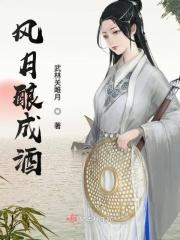 风月酌酒的含义