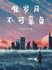 唯时光不可负