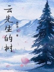 hlo树先生