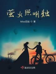 萤烛照夜剧情