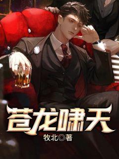 秦如凉沈娴无弹窗