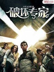 破坏专家大师兄是谁