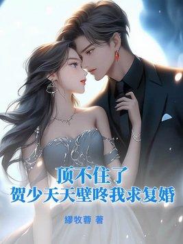 贺少求放过的