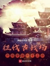 穿越到长平之战