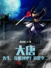 大唐李二又让我打了杨辰